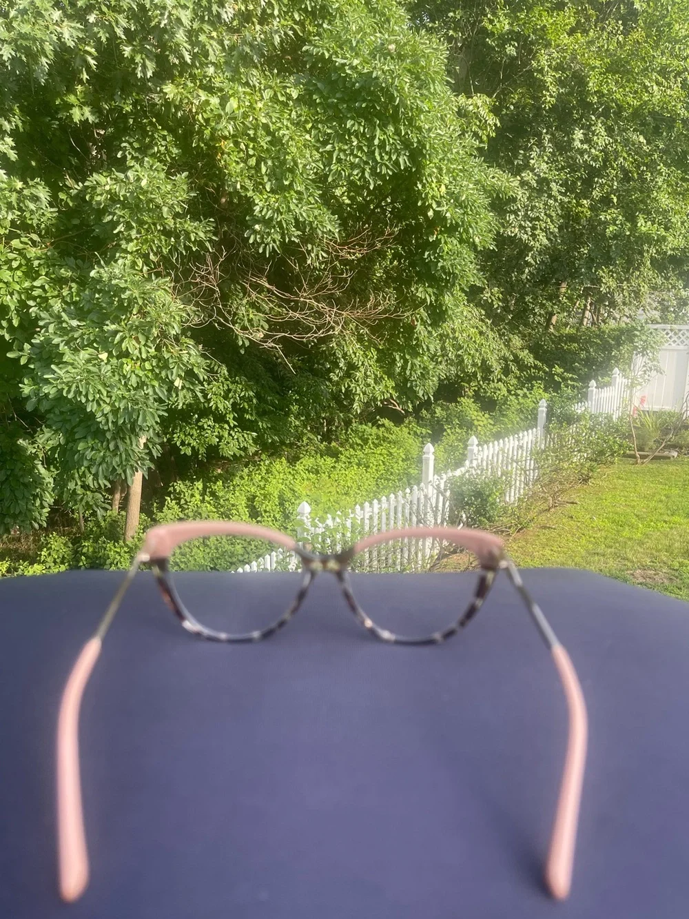 Women's Pink Tortoiseshell Cat-Eye Glasses - Unbranded